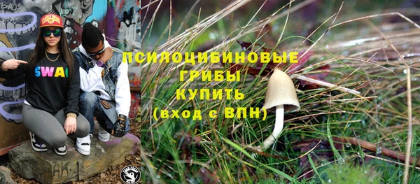 ECSTASY Алзамай