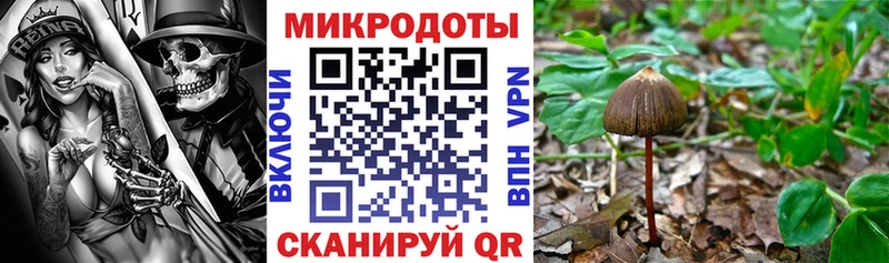 Псилоцибиновые грибы прущие грибы  Алушта 