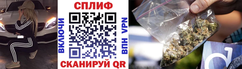 Шишки марихуана Amnesia  как найти наркотики  Алушта 